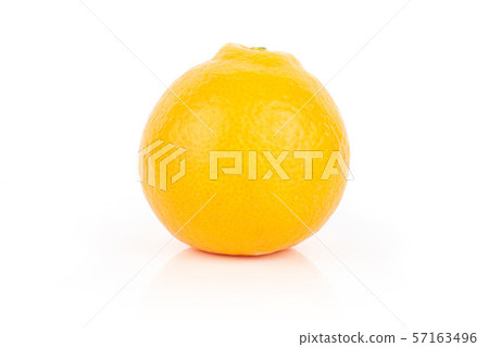 Orange minneola tangelo isolated on white Orange minneola tangelo isolated on white 57163496