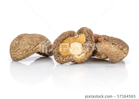 Dry shiitake mushroom isolated on white 57164565