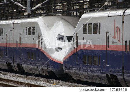 Joetsu Shinkansen E4 series (Toki color 16-car train) Joetsu Shinkansen E4 series (Toki color 16-car train) 57165256