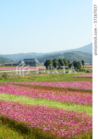 有宇宙的風景 有宇宙的風景 57167037