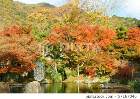Waterfall wrapped in autumn leaves 57167046