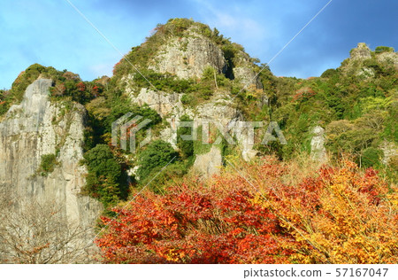 Autumn leaves of Mt. Autumn leaves of Mt. 57167047