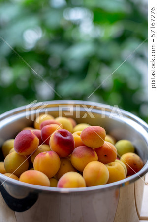 Plum juice making 57167276