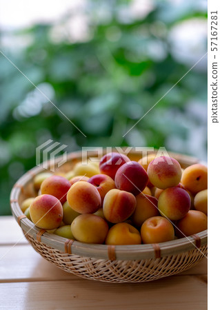 Plum juice making 57167281