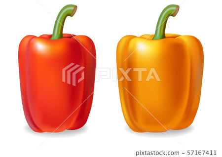 Pepper Vector realistic isolated on white 3d 57167411