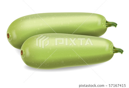 Zucchini Vector realistic isolated on white. Fresh Zucchini Vector realistic isolated on white. Fresh 57167415