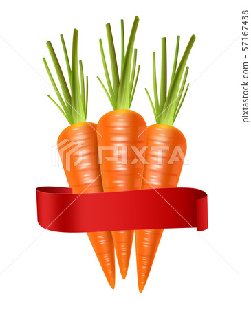Carrots Vector realistic isolated on white 3d 57167438