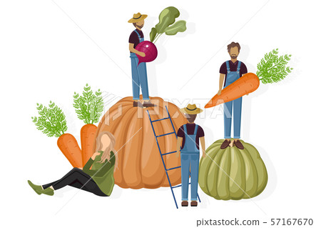 Farmers harvesting Vector flat style. Autumn fall 57167670