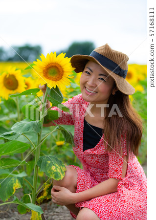 向日葵領域和婦女 向日葵領域和婦女 57168111