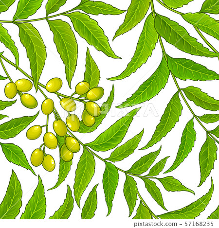 neem vector pattern 57168235