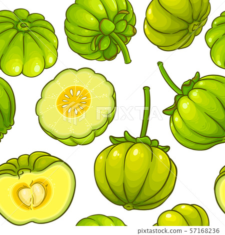 garcinia vector pattern garcinia vector pattern 57168236