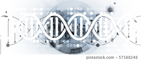 Abstract DNA technology. Science medical concept. Abstract DNA technology. Science medical concept. 57168248