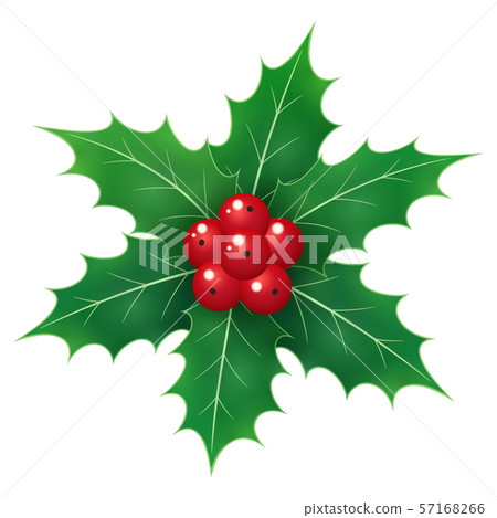 Illustration of strawberry _ 6 leaves 57168266
