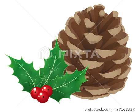 蜘蛛和杉木錐體的例證 57168337