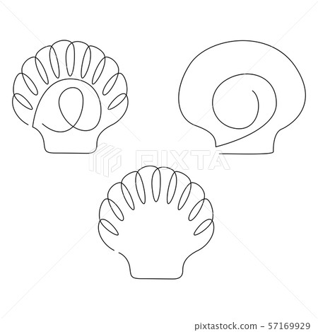 Scallop shell illustration set drawn by one line. Minimalist style vector illustration Scallop shell illustration set drawn by one line. Minimalist style vector illustration 57169929