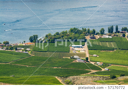 Landscape overview with farmer's land at Okanagan lake on summer day Landscape overview with farmer's land at Okanagan lake on summer day 57170772