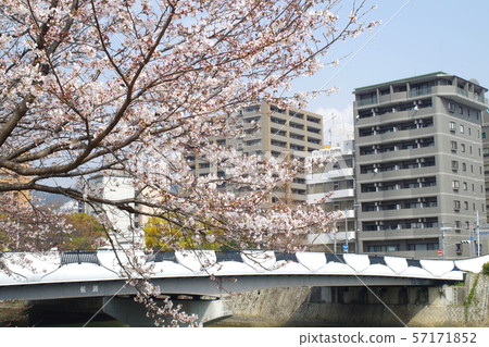 Sakura and Yokogawa Bridge neighborhood Sakura and Yokogawa Bridge neighborhood 57171852