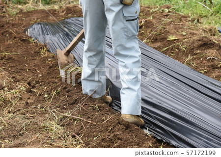 Home garden / field preparation / plowing, fertilizer, mulching 57172199