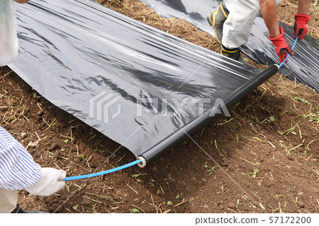 家庭花園/田間準備/耕作,肥料,覆蓋 家庭花園/田間準備/耕作,肥料,覆蓋 57172200