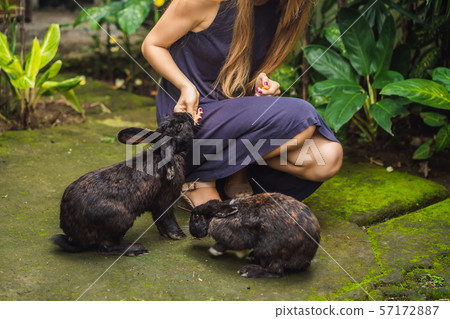 Woman holding a rabbit. Cosmetics test on rabbit animal. Cruelty free and stop animal abuse concept 57172887