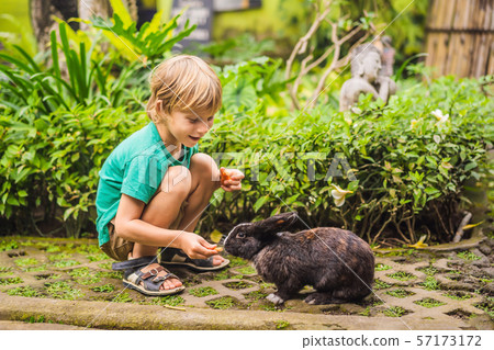 The boy feeds the rabbit. Cosmetics test on rabbit animal. Cruelty free and stop animal abuse 57173172