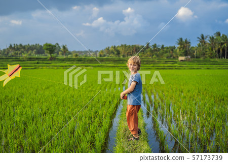 Tourist boy launches a kite in a rice field. Traveling with children concept. Kids friendly place Tourist boy launches a kite in a rice field. Traveling with children concept. Kids friendly place 57173739