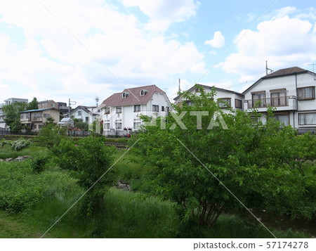 野川 野川 57174278