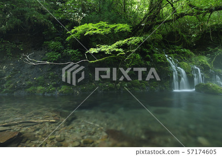 Motoyuki水下水 57174605