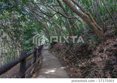 Magome / Hosojima Lighthouse Promenade, Cape Hinata, Hyuga City, Miyazaki Prefecture 883-0001 Magome / Hosojima Lighthouse Promenade, Cape Hinata, Hyuga City, Miyazaki Prefecture 883-0001 57175003
