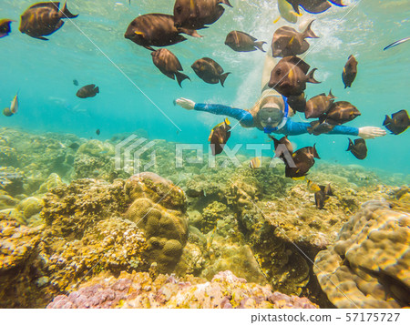 Happy woman in snorkeling mask dive underwater with tropical fishes in coral reef sea pool. Travel 57175727