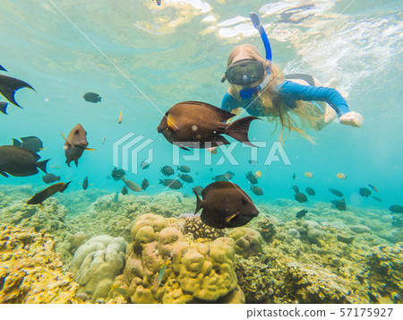 Happy woman in snorkeling mask dive underwater with tropical fishes in coral reef sea pool. Travel 57175927