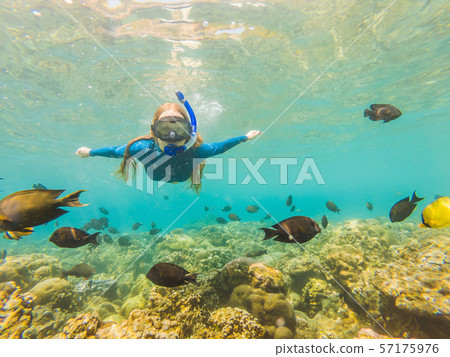 Happy woman in snorkeling mask dive underwater with tropical fishes in coral reef sea pool. Travel Happy woman in snorkeling mask dive underwater with tropical fishes in coral reef sea pool. Travel 57175976