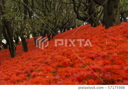 Sasamaya of the Satte Gongen temple 57175986