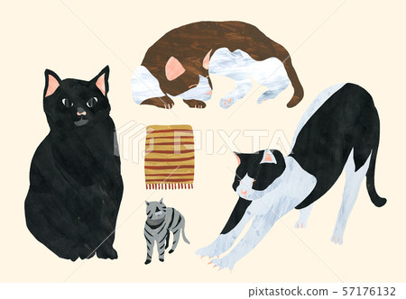 Real cats - Stock Illustration [57176132] - PIXTA
