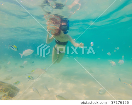 Happy woman in snorkeling mask dive underwater with tropical fishes in coral reef sea pool. Travel 57176136