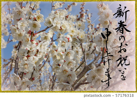 Plum New Year's card 57176318