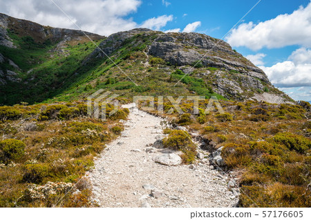 Landscape of Cradle mountain Tasmania, Australia. Landscape of Cradle mountain Tasmania, Australia. 57176605