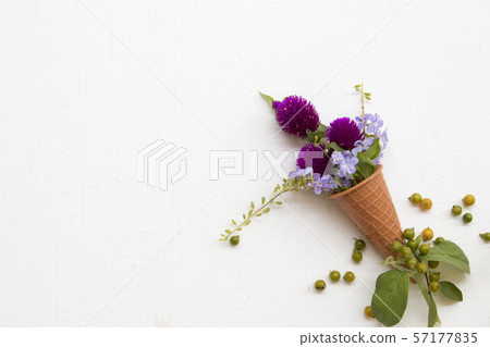 colorful purple flowers amaranth with little flowers local flora of asia in cone colorful purple flowers amaranth with little flowers local flora of asia in cone 57177835
