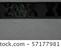 形式 57177981