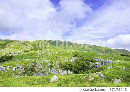 Beautiful scenery of Hiraodai 57178442