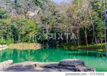 Swamp in Tham Luang - Khun Nam Nang Non Forest Swamp in Tham Luang - Khun Nam Nang Non Forest 57178502