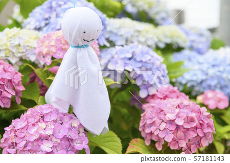 Hydrangea and tertel shaved Hydrangea and tertel shaved 57181143