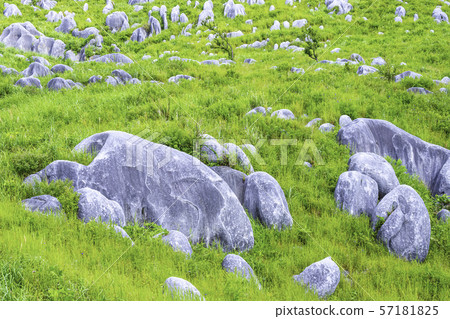 Beautiful scenery of Hiraodai Beautiful scenery of Hiraodai 57181825