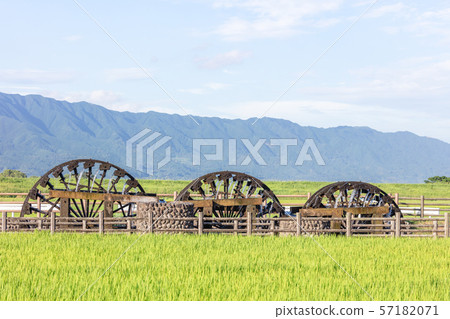 福岡縣朝倉市夏季的三列火車 57182071