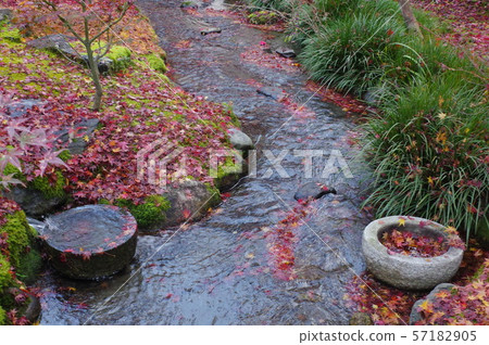 Eikan-do秋葉 57182905