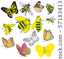 蝴蝶，蜂例證 57183413
