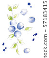 藍莓插圖 57183415
