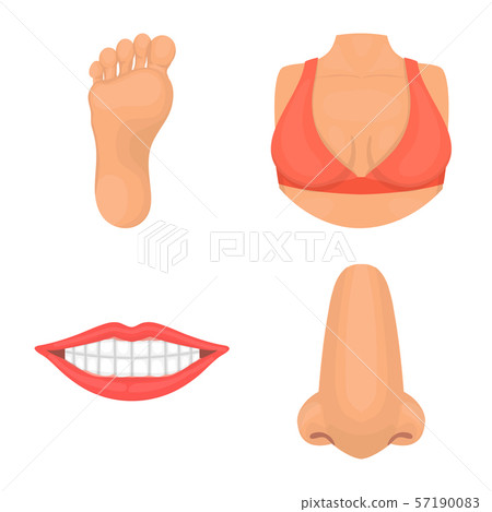 Vector design of body and part logo. Set of body and anatomy vector icon for stock. Vector design of body and part logo. Set of body and anatomy vector icon for stock. 57190083