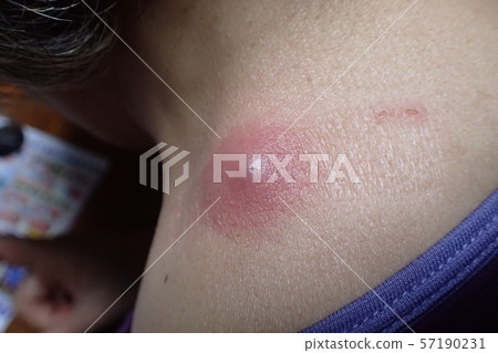 Funryu (powder) Funryu (powder) 57190231