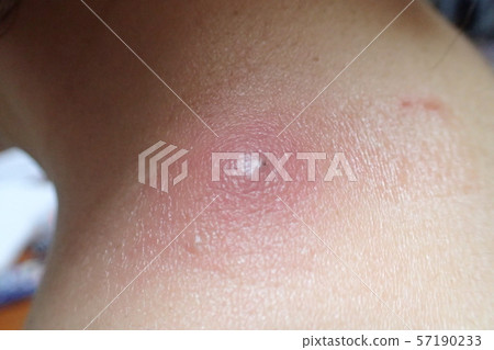 Funryu(粉末) Funryu(粉末) 57190233